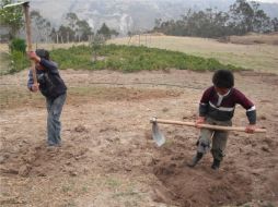 INEGI señala que los niños varones que trabajan conforman la mayoría con un 10.9 por ciento. ESPECIAL  /