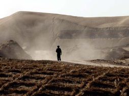 La repercusión más grave de los incendios es la pérdida irreversible de toneladas de suelo. EFE  /