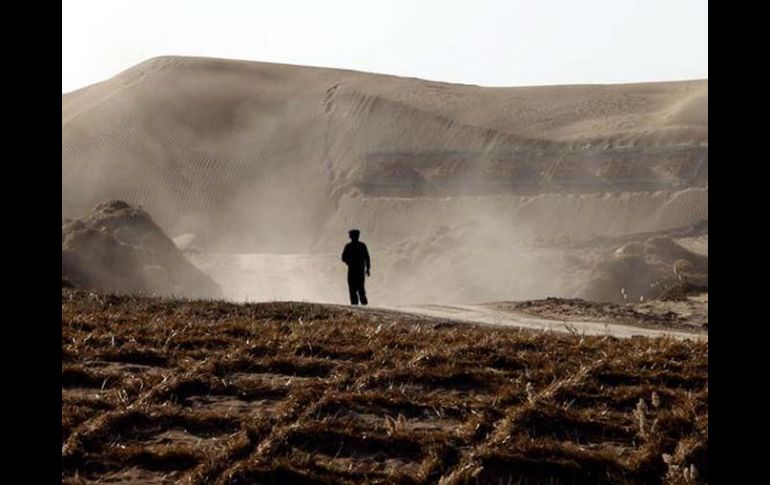 La repercusión más grave de los incendios es la pérdida irreversible de toneladas de suelo. EFE  /