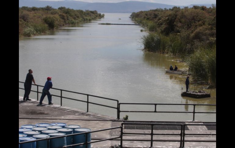 El titular de la Semades dijo que los proyectos que se contemplan son en aras del saneamiento y mejora de la Cuenca El Ahogado. ARCHIVO  /