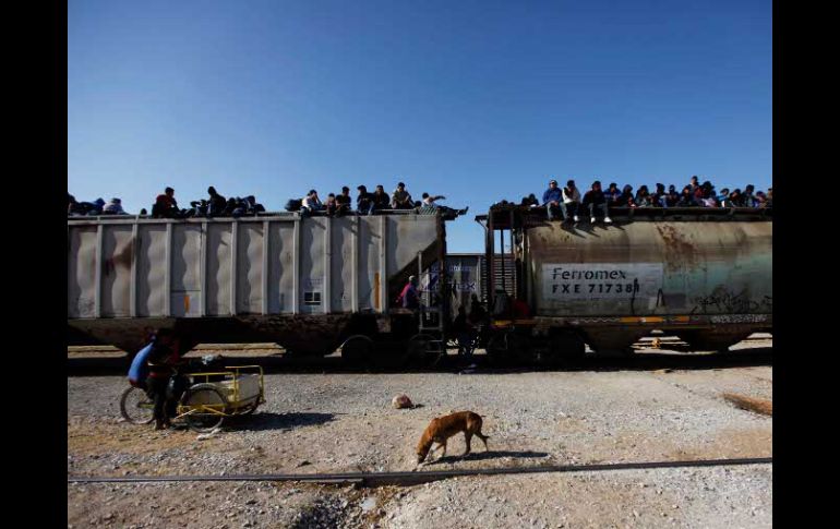 AI destacó la iniciativa de nombrar un procurador especial en Chiapas para investigar las violaciones contra migrantes. ARCHIVO  /