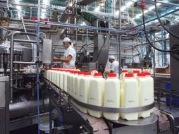 En México se producen diariamente unos 30 millones de litros de leche. ARCHIVO  /