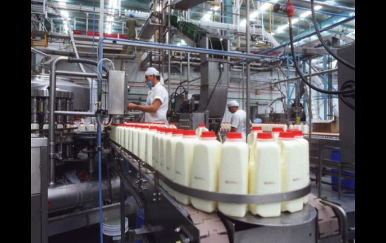 En México se producen diariamente unos 30 millones de litros de leche. ARCHIVO  /