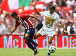 Francisco Palencia pelea por el balón durante el partido de 'vuelta' ante Chivas en semifinales. MEXSPORT  /