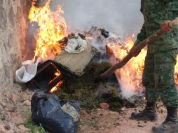 En el poblado de “El Tuitan”, del municipio de Tequila, personal castrense incautó 500 kilos de mariguana que después incineró.ESPECIAL  /