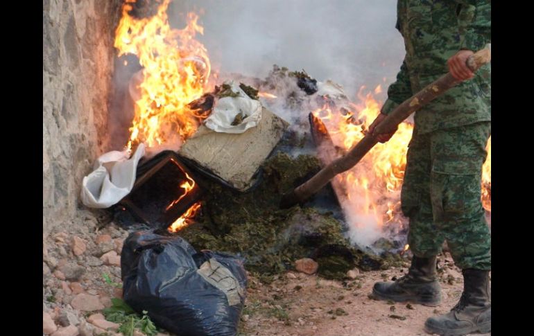 En el poblado de “El Tuitan”, del municipio de Tequila, personal castrense incautó 500 kilos de mariguana que después incineró.ESPECIAL  /