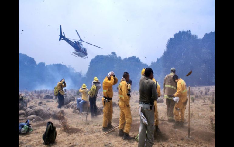 Autoridades estiman que el incendio en Cerro Viejo, en Tlajomulco, afectó más de mil hectáreas. ESPECIAL  /