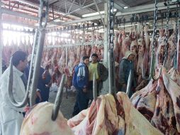 Los mataderos jaliscienses representan 19.1% en la concentración de carne bovina. ARCHIVO  /