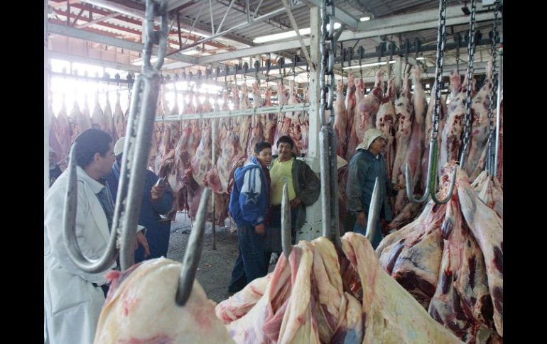 Los mataderos jaliscienses representan 19.1% en la concentración de carne bovina. ARCHIVO  /