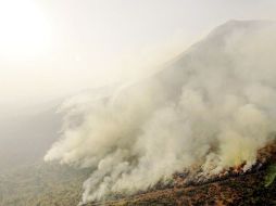 Incendio en Coahuila, uno de los estados más afectados por los siniestros. ARCHIVO  /