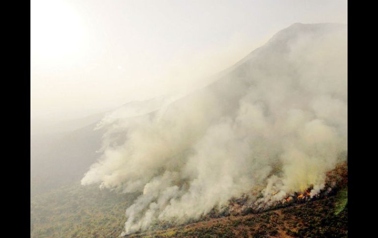 Incendio en Coahuila, uno de los estados más afectados por los siniestros. ARCHIVO  /