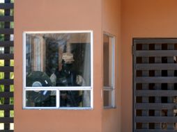 Militares resguardan la entrada principal de la vivienda de Jorge Hank Rhon, este domingo. NTX  /