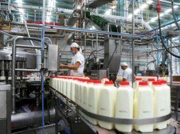 Se ha elaborado un programa de deshidratación de 120 millones de litros de leche en los próximos cuatro meses. ARCHIVO  /