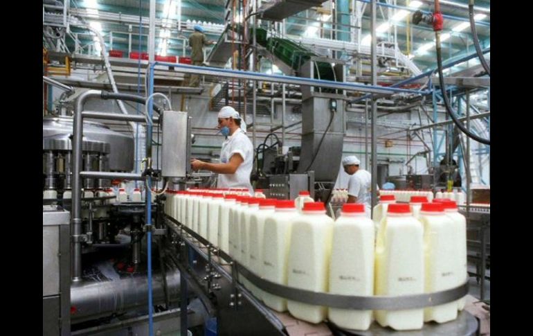 Se ha elaborado un programa de deshidratación de 120 millones de litros de leche en los próximos cuatro meses. ARCHIVO  /