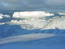 Científicos afirman que la capa de hielo es cada vez más delgada y de menor extensión. ESPECIAL  /