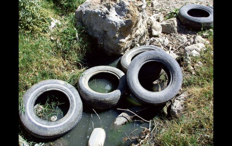 El agua estancada es un lugar propicio para la reproducción del mosco transmisor del dengue.  A. GARCÍA  /