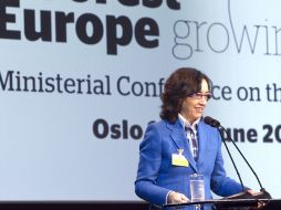 La ministra española pronuncia su discurso durante la inauguración de la conferencia ministerial 'Europa Forestal'. EFE  /