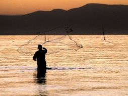 Autoridades tienen el fin de impulsar la pesca en el Lago de Chapala. ARCHIVO  /