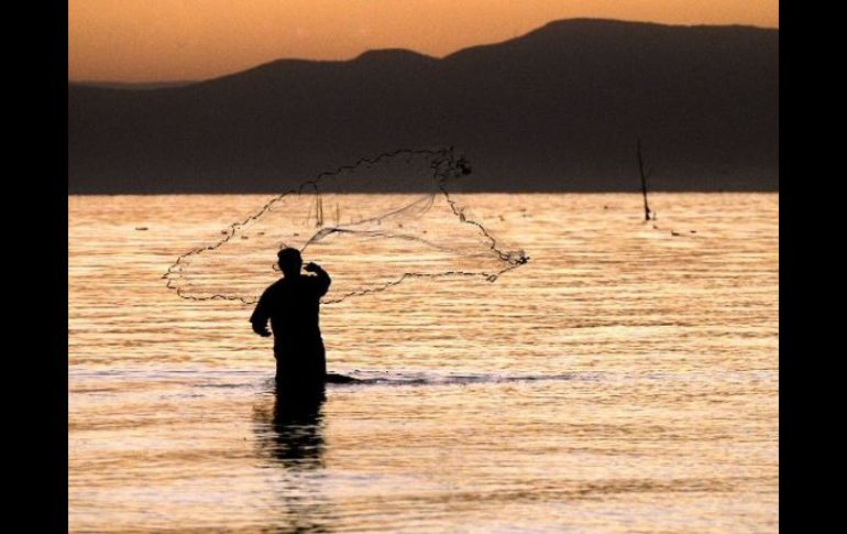 Autoridades tienen el fin de impulsar la pesca en el Lago de Chapala. ARCHIVO  /