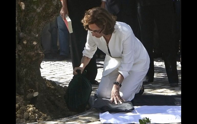 Pilar del Río viuda del escritor depositó las cenizas al pie de un olivo. EFE  /