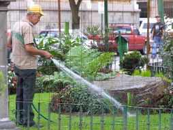 Personal de la Dirección de Parques y Jardines de Zapopan, una de las áreas carentes de maquinaria, según el PAN. ARCHIVO  /