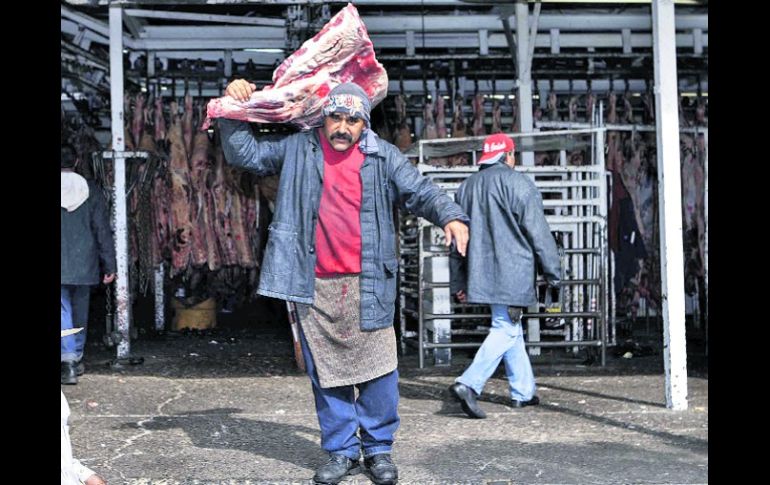 En cada matanza de reses en el Rastro de Guadalajara, se obtienen tres toneladas de hígados. A. GARCÍA  /