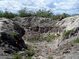 Se encontraron huesos de un mamut columbino y un clovis con posibles cortes hechos por humanos. EL UNIVERSAL  /