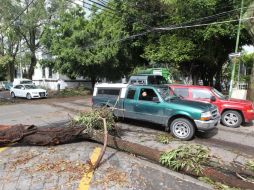 Calles bloqueadas tras el meteoro que tiró 29 postes y 21 árboles. A. CAMACHO  /