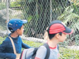 Aprenden a convivir y a respetar a los animales en el Zoológico Guadalajara. ESPECIAL  /