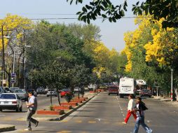 Aunque la pavimentación en Enrique Díaz de León concluye en octubre, las adecuaciones se realizarán de manera coordinada. A. GARCÍA  /