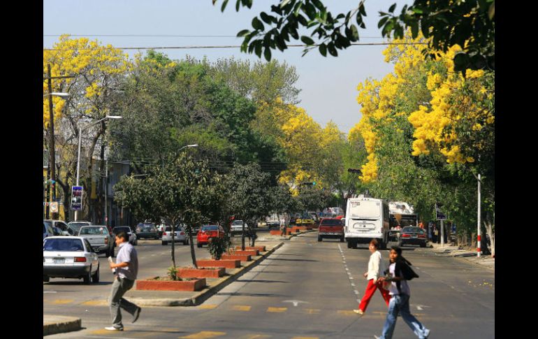 Aunque la pavimentación en Enrique Díaz de León concluye en octubre, las adecuaciones se realizarán de manera coordinada. A. GARCÍA  /