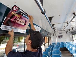 Ayer se colocaron calcomanías en unidades del transporte público, las cuales hacen referencia el daño por el tabaco. A. GARCÍA  /