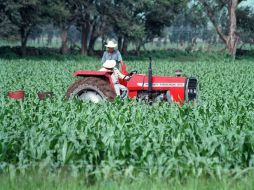 El sector empresarial busca la continuidad de proyectos de apoyo al campo, tales como los agroparques. ARCHIVO  /