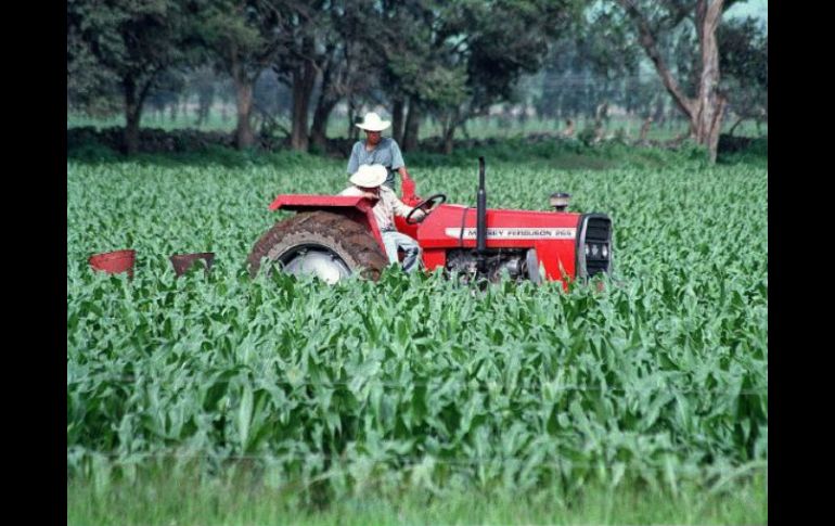 El sector empresarial busca la continuidad de proyectos de apoyo al campo, tales como los agroparques. ARCHIVO  /