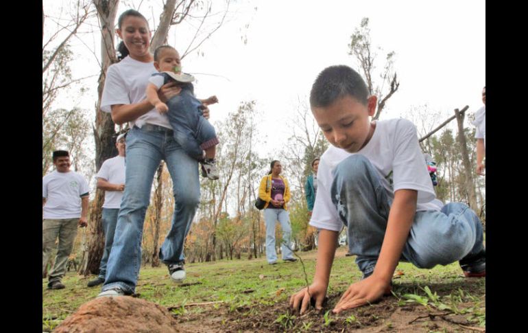 Instituciones educativas, empresas y otras, apoyan la reforestación en diferentes rumbos de la ciudad. ARCHIVO.  /