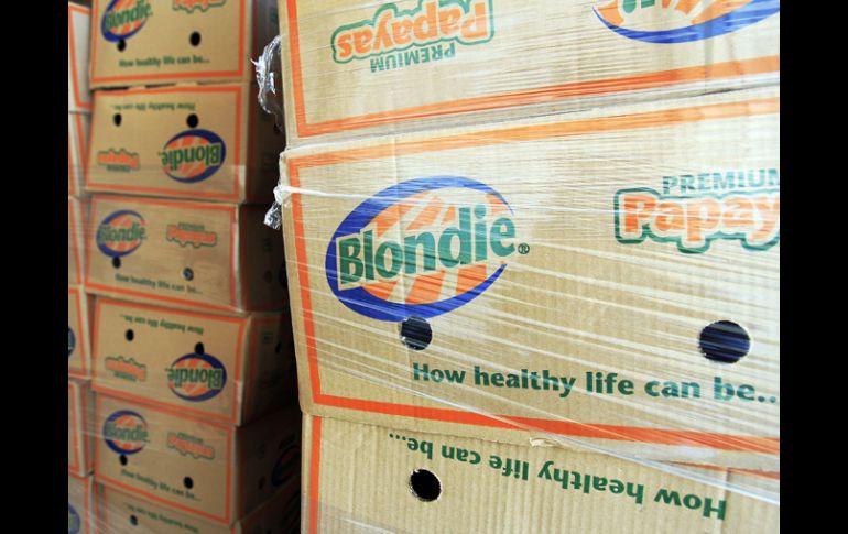 Las papayas de marca Blondie, Yaya, Mananita y Tastylicious podrían estar relacionadas al brote. AP  /