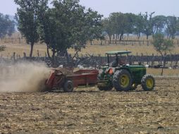 Un pequeño grupo de representantes del sector agropecuario mantiene secuestradas las negociaciones del TLC con Perú. ARCHIVO  /