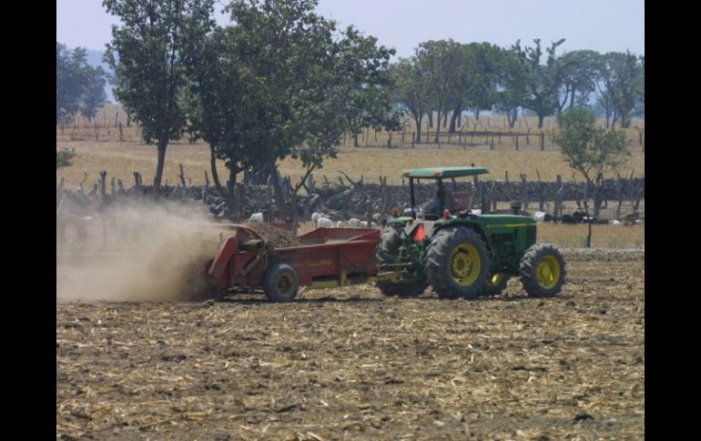 Un pequeño grupo de representantes del sector agropecuario mantiene secuestradas las negociaciones del TLC con Perú. ARCHIVO  /