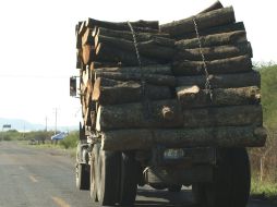 La Agencia de Investigación para el Medioambiente instó a Laos a cumplir la prohibición de exportar madera. ARCHIVO  /