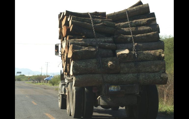 La Agencia de Investigación para el Medioambiente instó a Laos a cumplir la prohibición de exportar madera. ARCHIVO  /