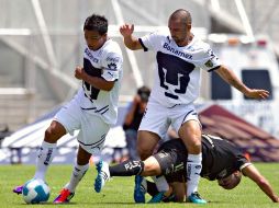 Pumas compite en casi todas las categorías. ARCHIVO  /