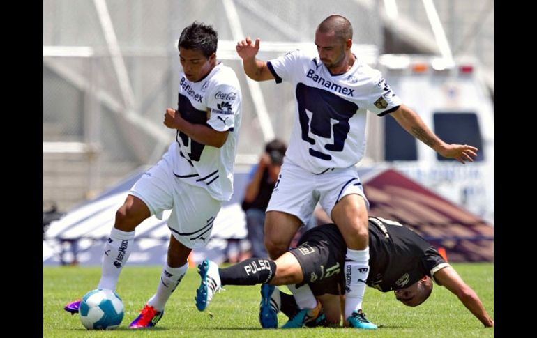 Pumas compite en casi todas las categorías. ARCHIVO  /