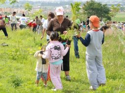 Se realizaron trabajos de reforestación en el Cerro Los Coyotes en Tesistán y el Bosque El Centinela. ESPECIAL  /