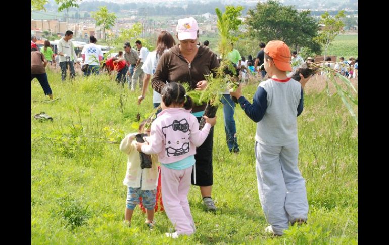 Se realizaron trabajos de reforestación en el Cerro Los Coyotes en Tesistán y el Bosque El Centinela. ESPECIAL  /