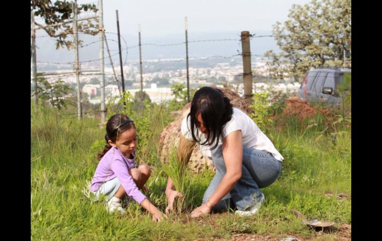 En el Bosque El Nixticuil se plantaron 600 árboles. E. PACHECO.  /