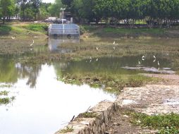 El proyecto en el Parque El Dean estará mas encaminado a potenciar su uso recreativo que a aminorar las inundaciones. ARCHIVO  /