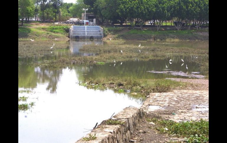 El proyecto en el Parque El Dean estará mas encaminado a potenciar su uso recreativo que a aminorar las inundaciones. ARCHIVO  /