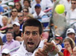 Novak Djokovic ha ganado nueve torneos en este año, incluyendo dos Grand Slams, Abierto de Australia y Wimbledon. REUTERS  /