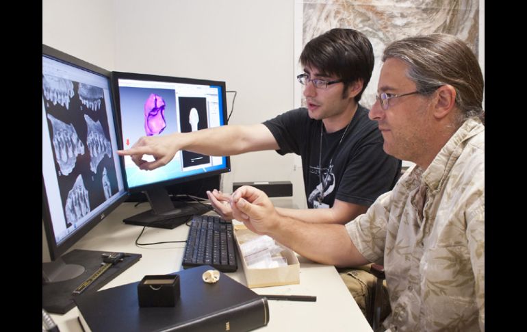 Jonathan Bloch (d), y Stephen Chester (i) analizando los dientes fosilizados de un Teilhardina. EFE  /