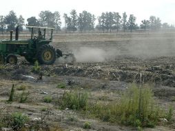 La Ciudad Agropecuaria comprende varios proyectos que buscan sustentabilidad económica. ARCHIVO  /